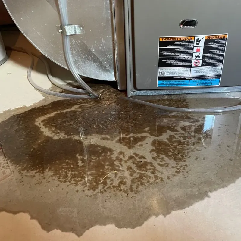 Pipe Burst and Leak Restoration in Saint Marys, WV