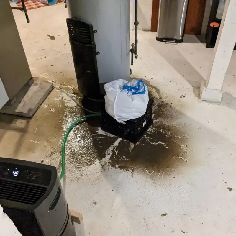 Sewage Backup Cleanup Service in Saint Marys, WV